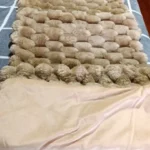 Cozy Cream Pineapple Turtle Plush Pillowcase for Home Decor photo review