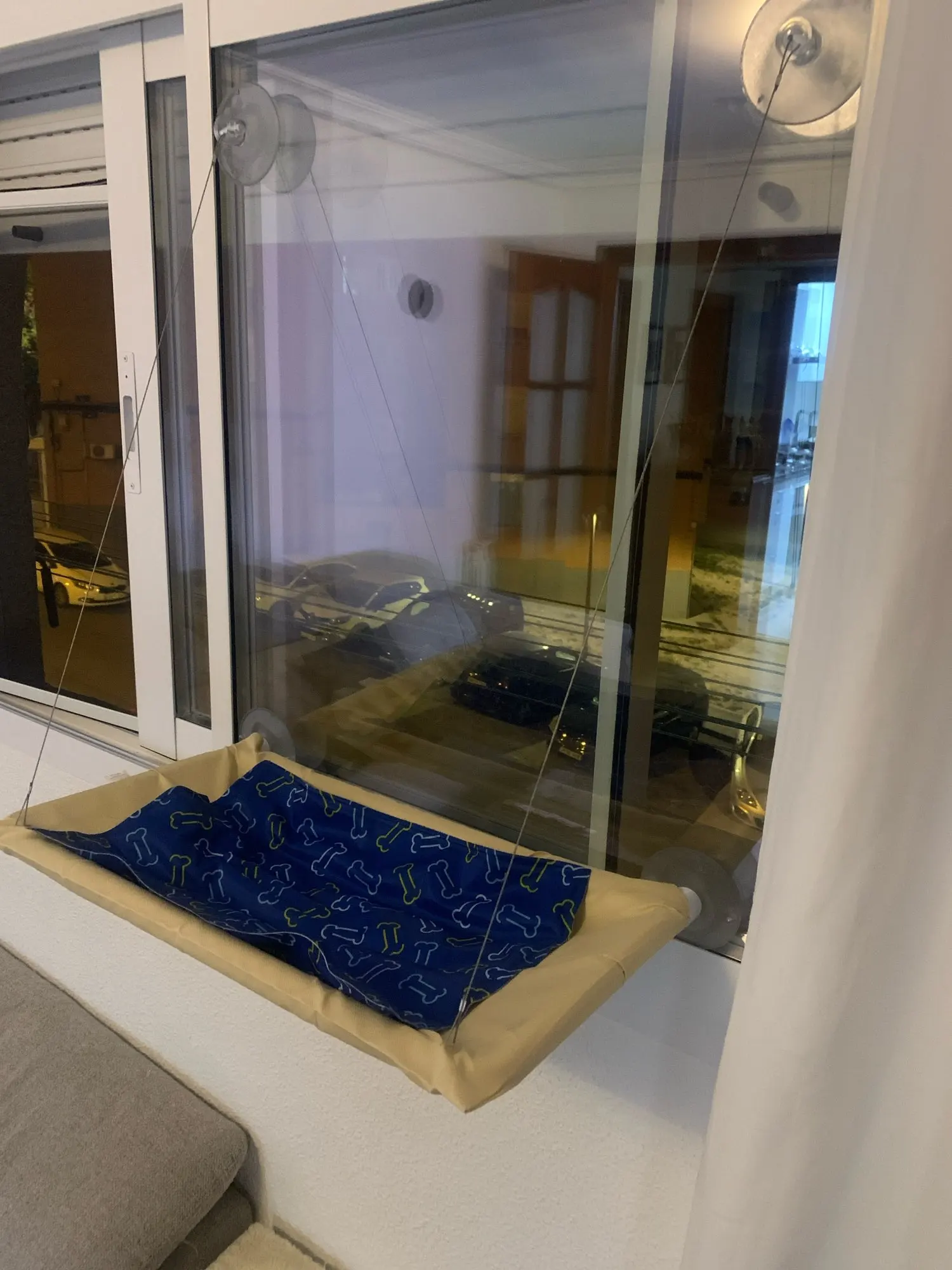 Sunny Cat Hammock Bed - Cozy Aerial Window Nest for Cats photo review