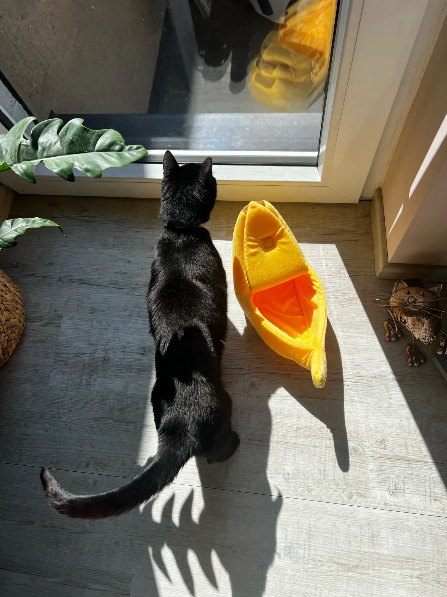 Cozy Banana Cat Bed: Cute & Portable Pet House for Cats photo review