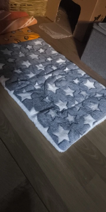 Flannel Pet Sleeping Mat Dog Bed Cat Litter Puppy Bed Dog Sofa Lovely Mattress Cushion for Small Large Dog Blanket Pet Supplies photo review