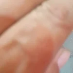 Cozy Round Pet Bed in Stylish Gradient for Large Dogs photo review