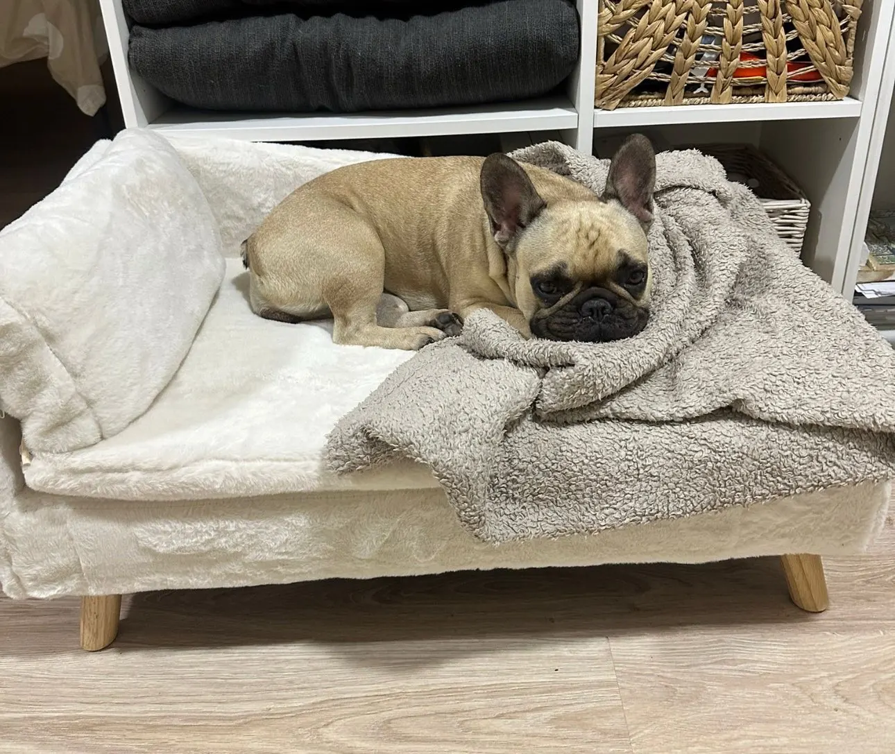 Elevated Pet Bed,Nordic Pet Stool Bed with Cozy Pad Waterproof,Pet Sofa Bed with Sturdy Wood Legs for Small Dog Kitten photo review