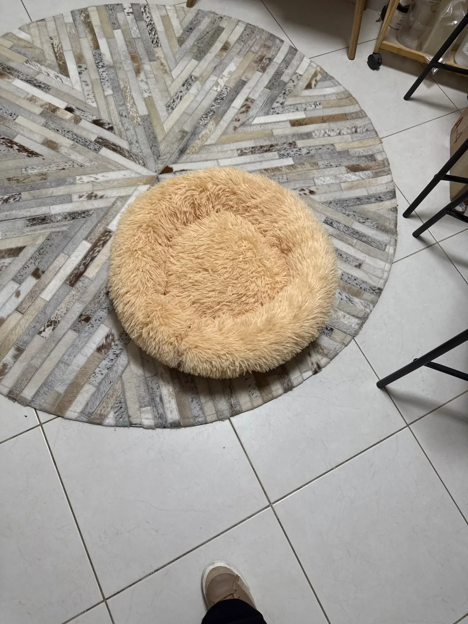 Cozy Round Pet Bed in Stylish Gradient for Large Dogs photo review