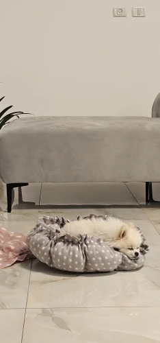 Cozy Adjustable Cotton Pet Nest Bed for Cats & Puppies photo review