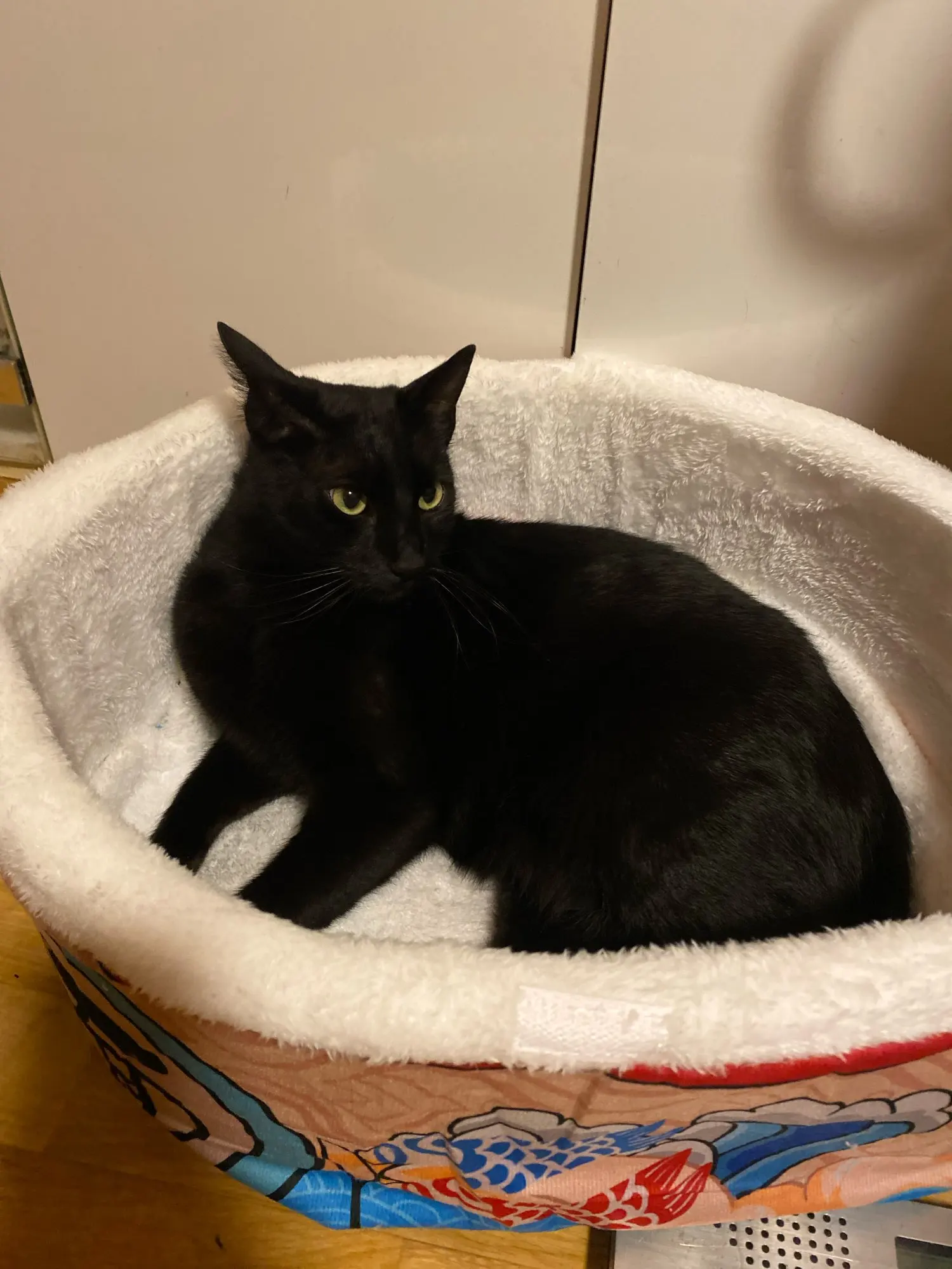 Cozy Super Large Pet Nest Bed for Dogs and Cats photo review