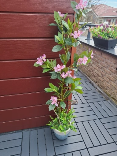 Lifelike Tropical Ficus Tree - No-Maintenance Home Decor photo review