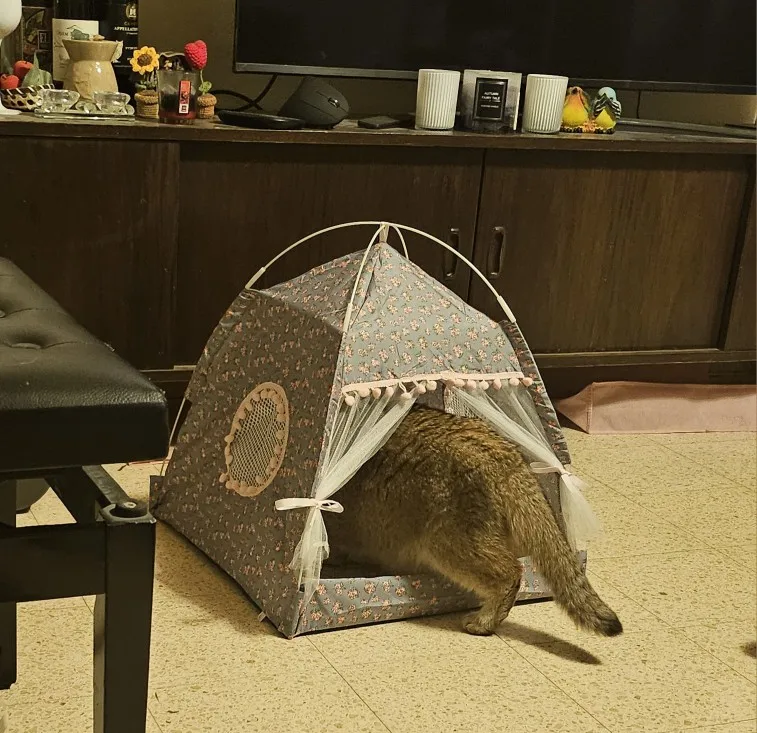 Cozy Flower Tent Nest for Cats & Small Dogs - All Seasons photo review