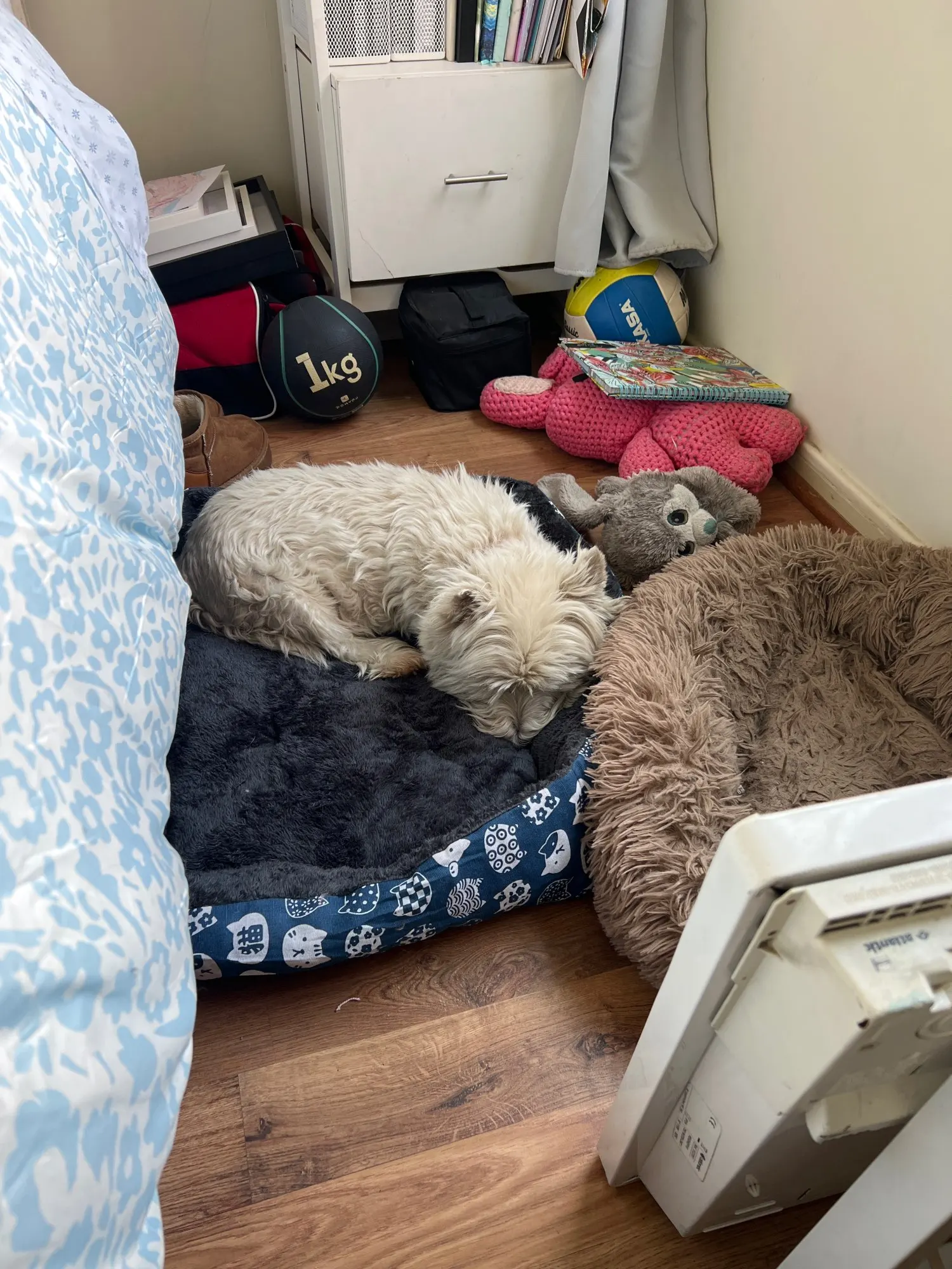 Pet Dog Bed Sofa Mats Pet Products Coussin Chien Animals Accessories Dogs Basket Supplies For Large Medium Small House Cat Bed photo review