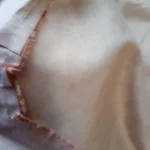 Charming Floral Canvas Apron - Stain Resistant & Stylish photo review