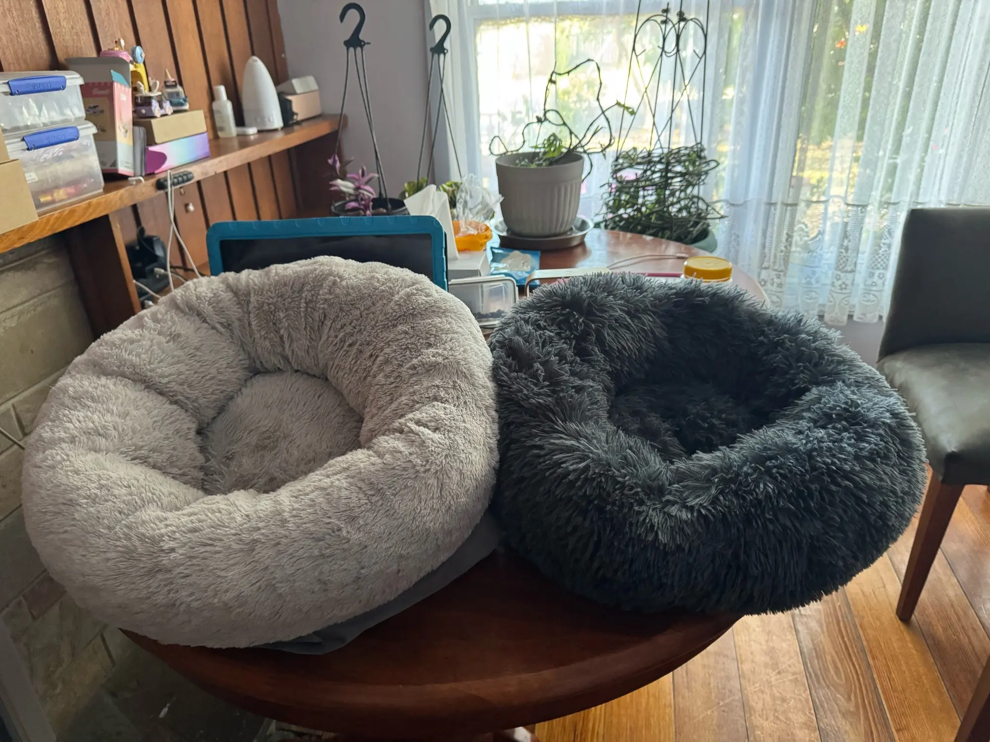 Cozy Round Plush Dog & Cat Bed for Ultimate Warmth & Style photo review