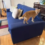 Luxurious Jacquard Sofa Cover for Custom Fit Comfort photo review