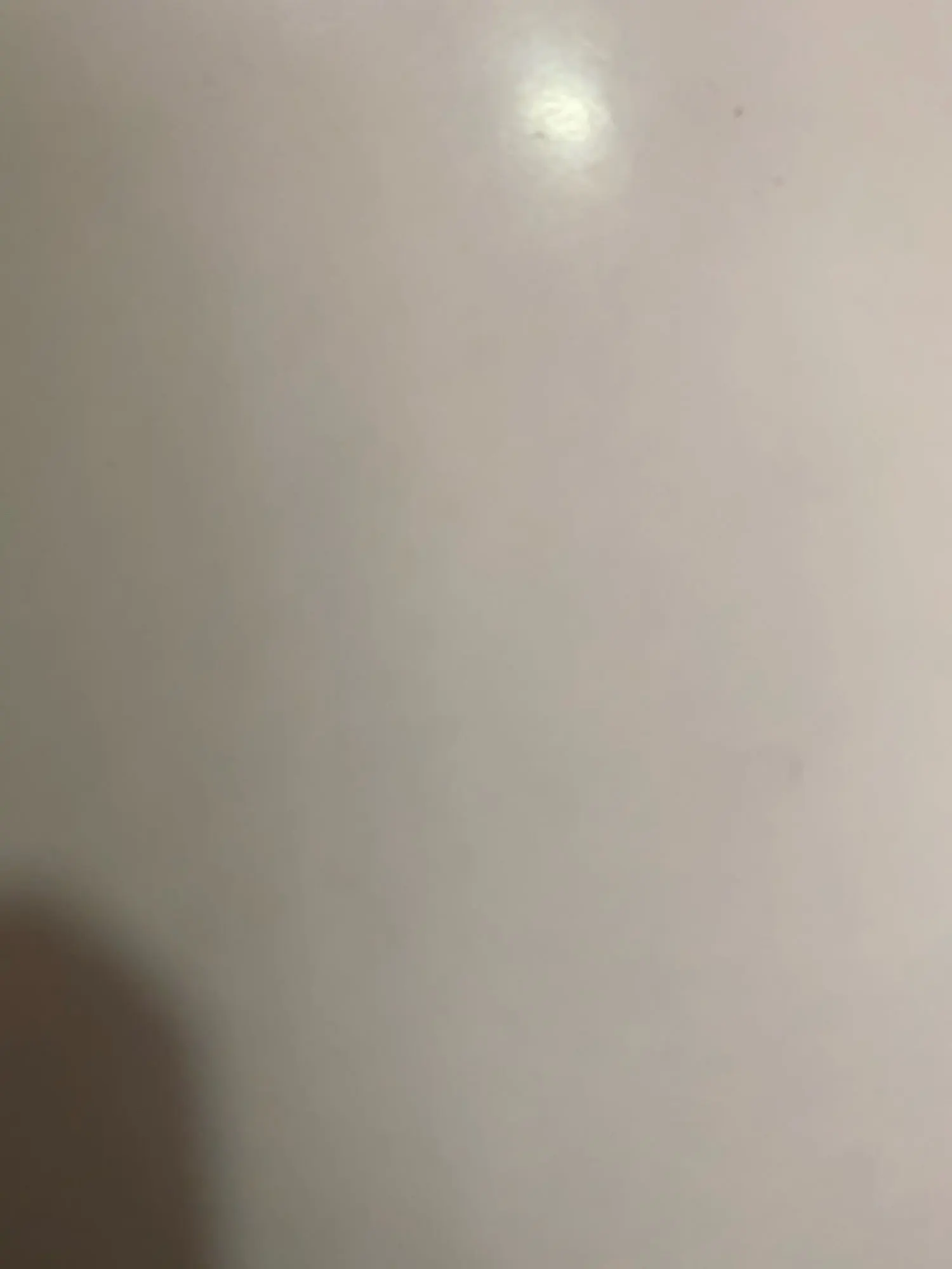 Plush Donut Cat Bed: Cozy, Washable Comfort for Pets photo review