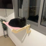 Cozy Cat Hammock with Window View & Wooden Stand photo review