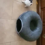 Cozy Felt Donut Cat Bed & Tunnel - Interactive Play Haven photo review