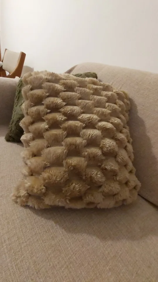 Cozy Cream Pineapple Turtle Plush Pillowcase for Home Decor photo review