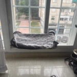 Sunny Cat Hammock Bed - Cozy Aerial Window Nest for Cats photo review