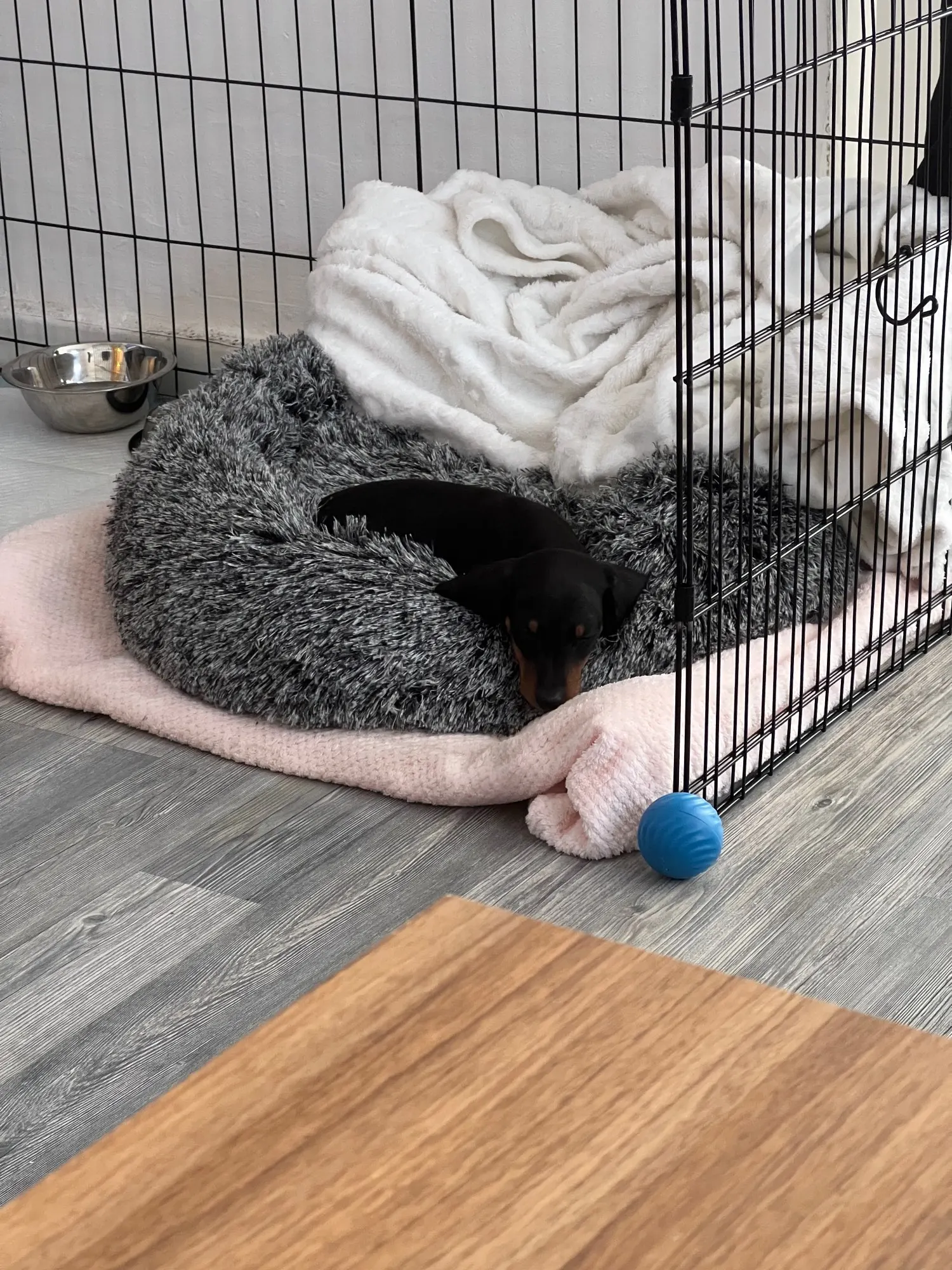 Plush Donut Cat Bed: Cozy, Washable Comfort for Pets photo review