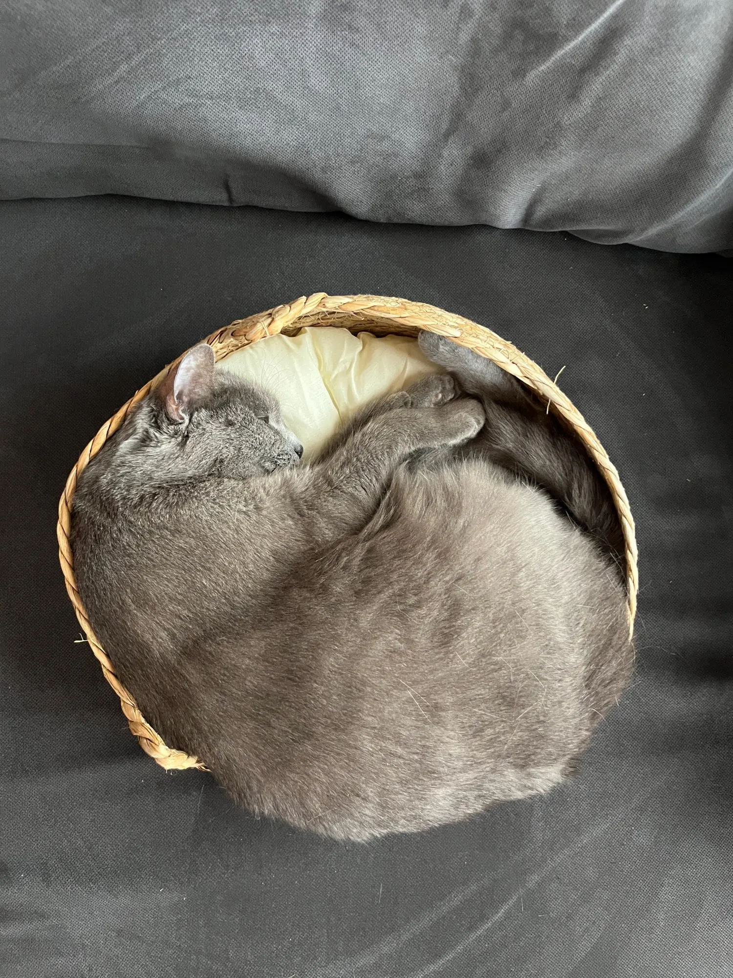 Cozy Four Seasons Handmade Cat Nest - Washable & Detachable photo review