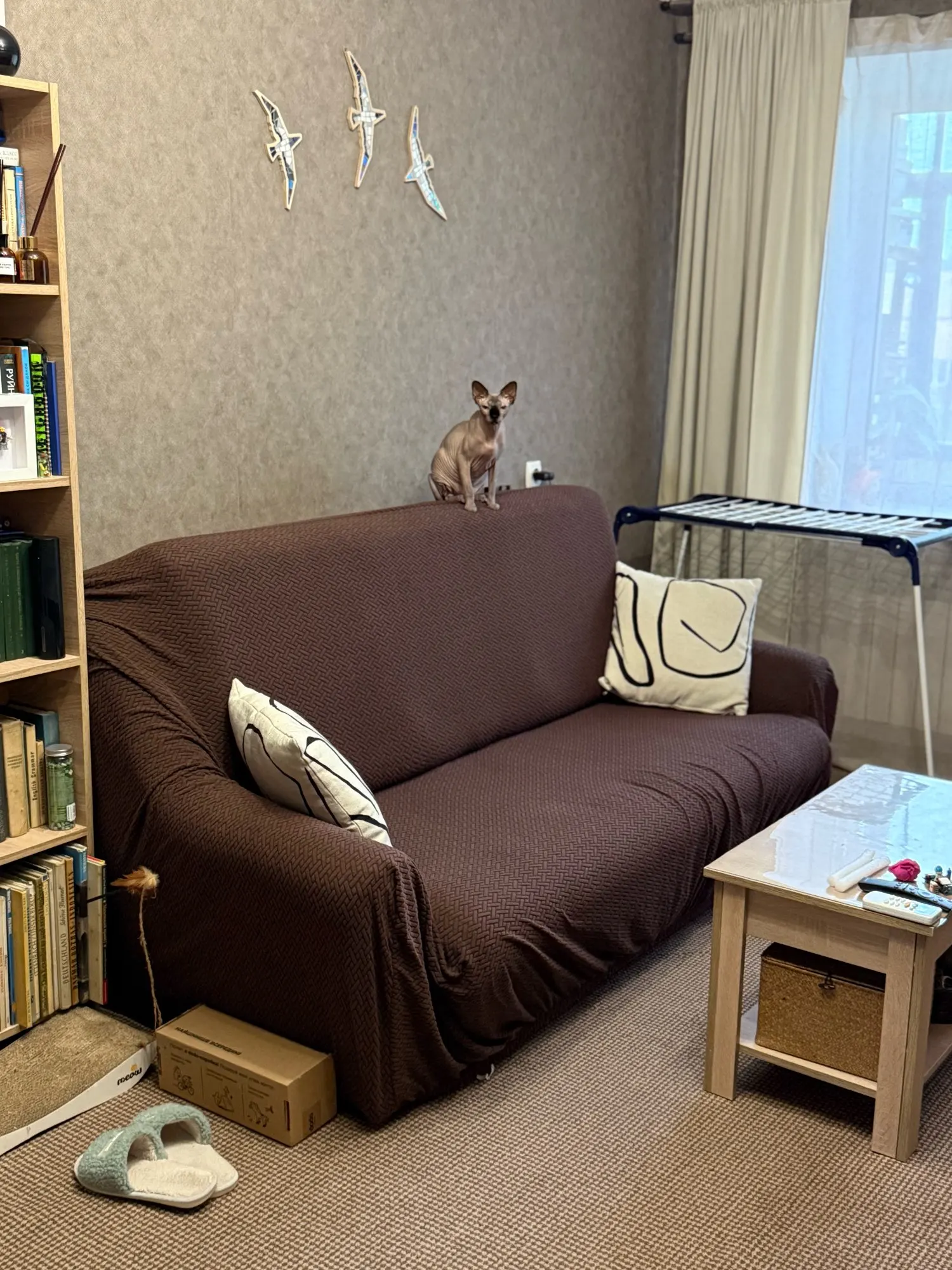 Luxurious Jacquard Sofa Cover for Custom Fit Comfort photo review