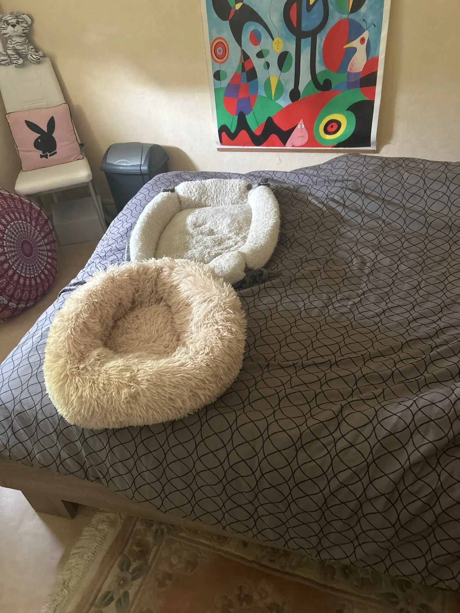 Plush Donut Cat Bed: Cozy, Washable Comfort for Pets photo review