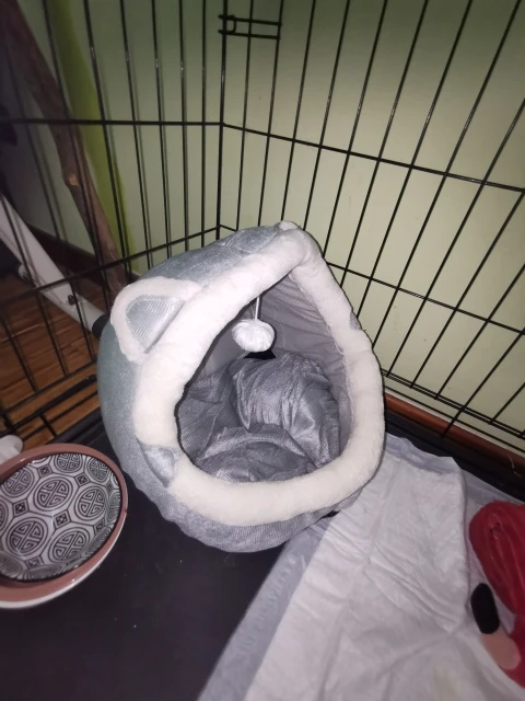 Cozy Cotton Cat Cave Bed - Warm & Comfortable Retreat photo review