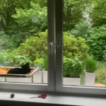 Sunny Cat Hammock Bed - Cozy Aerial Window Nest for Cats photo review