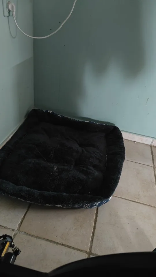 Pet Dog Bed Sofa Mats Pet Products Coussin Chien Animals Accessories Dogs Basket Supplies For Large Medium Small House Cat Bed photo review