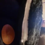 Cozy Cotton Cat Cave: Ultimate Winter Pet Bed Retreat photo review