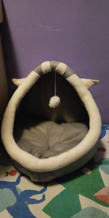 Cozy Cartoon Cat Bed: Removable, Washable, & Foldable Delight photo review