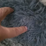 Cozy Round Pet Bed in Stylish Gradient for Large Dogs photo review