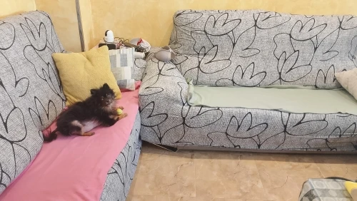 Colorful Knit Sofa Cover with Skirt for Full Coverage Comfort photo review