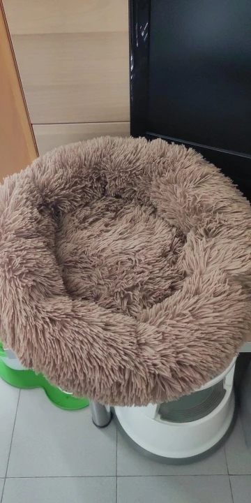 Cozy Plush Cat Bed for Ultimate Warmth & Comfort photo review