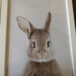 Charming Animal Canvas Prints for Kids' Nursery Decor photo review