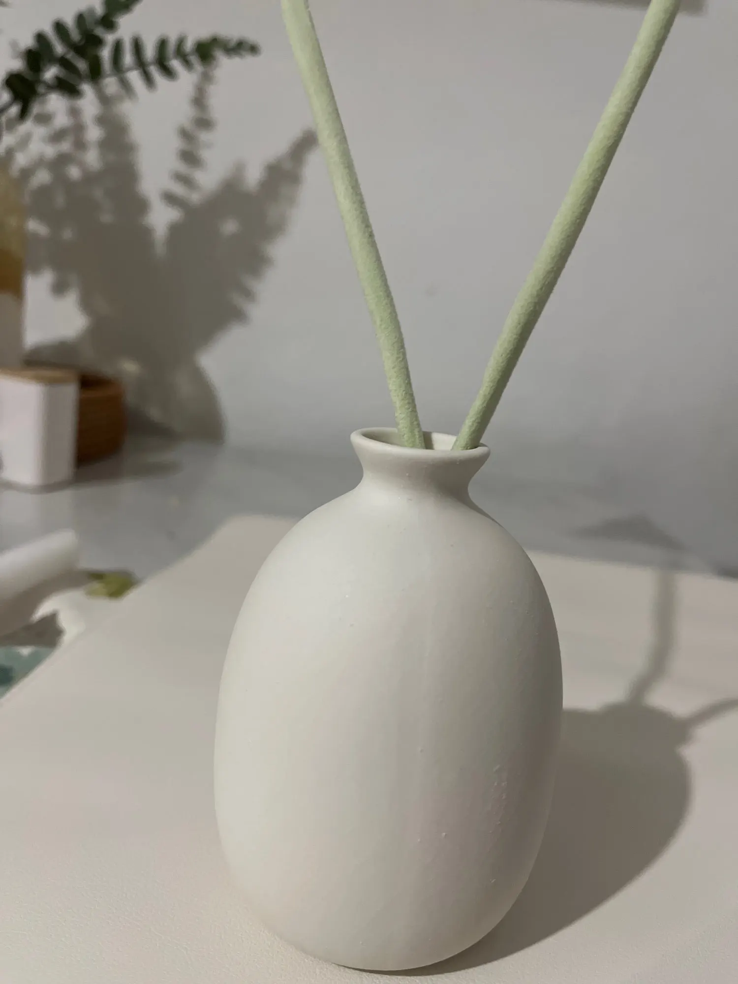 Elegant White Ceramic Vases for Minimalist Home Decor photo review