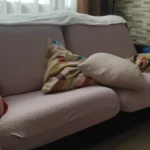 Elegant Jacquard Sofa Cover - Soft, Stretchy Protection for All Sofas photo review