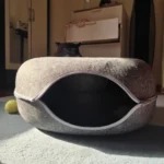 Cozy Dual Cat Bed & Tunnel - Interactive Plush Nest photo review