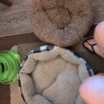 Home Plush Pet Nest Winter Cat Nest Dog Nest Warm Detachable and Washable Round Cat Nest Pet Bed Seasonal Universal Decoration photo review