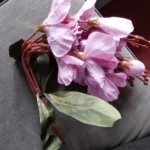 Elegant Magnolia Silk Flower Set - 5 Forks, 20 Heads for Home Decor photo review