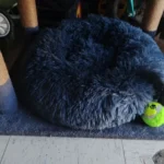 Cozy Round Plush Dog & Cat Bed for Ultimate Warmth & Style photo review