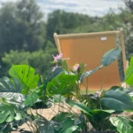 Lifelike Tropical Ficus Tree - No-Maintenance Home Decor photo review