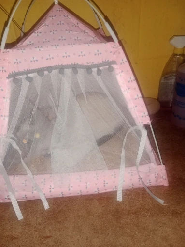 Cozy Flower Tent Nest for Cats & Small Dogs - All Seasons photo review