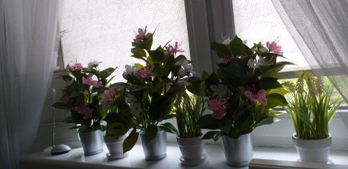 Lifelike Tropical Ficus Tree - No-Maintenance Home Decor photo review