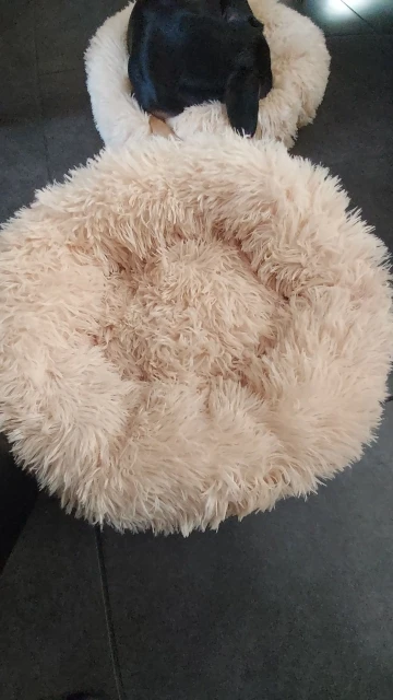 Cozy Round Pet Bed in Stylish Gradient for Large Dogs photo review