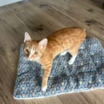 Cozy Plush Cat & Small Dog Bed Mat - Breathable & Soft photo review