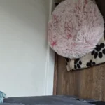 Cozy Round Pet Bed in Stylish Gradient for Large Dogs photo review