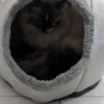 Cozy Cotton Cat Cave: Ultimate Winter Pet Bed Retreat photo review