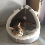 Cozy Cartoon Cat Bed: Removable, Washable, & Foldable Delight photo review