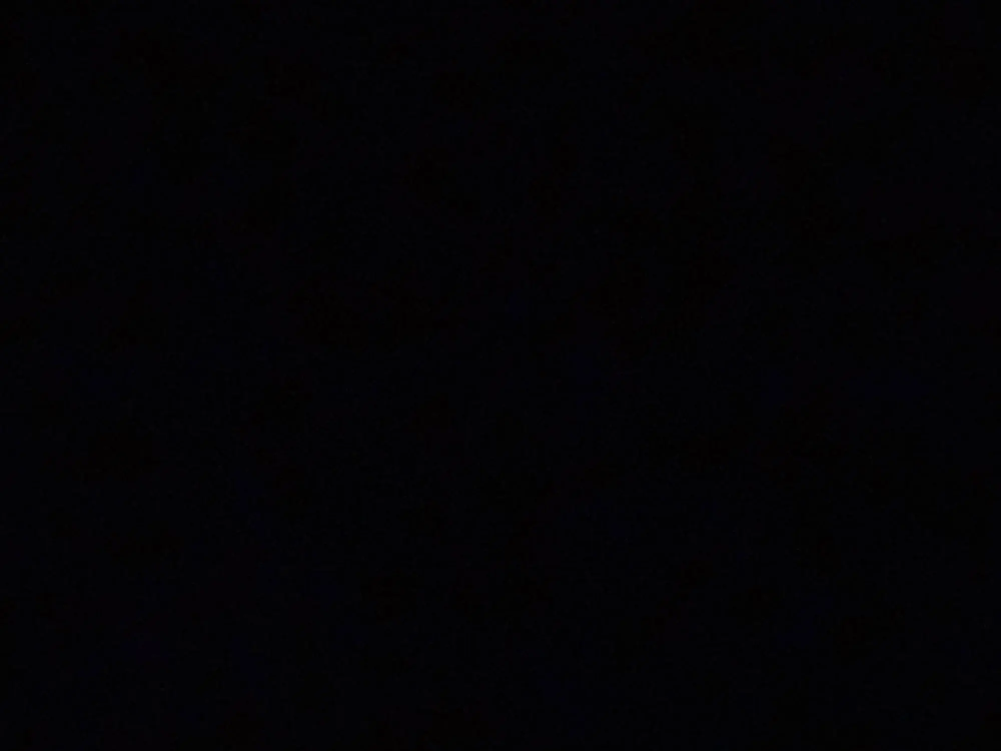 Urban Landmark Canvas Art: Chic Black & White Decor Piece photo review