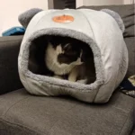 Cozy Cotton Cat Cave: Ultimate Winter Pet Bed Retreat photo review