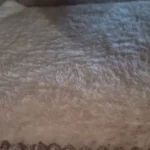 Versatile Foldable Cat Tent: Cool & Cozy All-Season Haven photo review